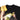 Givenchy Black Abstract Brushstroke Oversized T-Shirt
