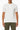 Bottega Veneta Chalk White Cotton Dry Piquet Polo